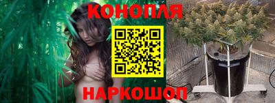 прущая мука Гатчина