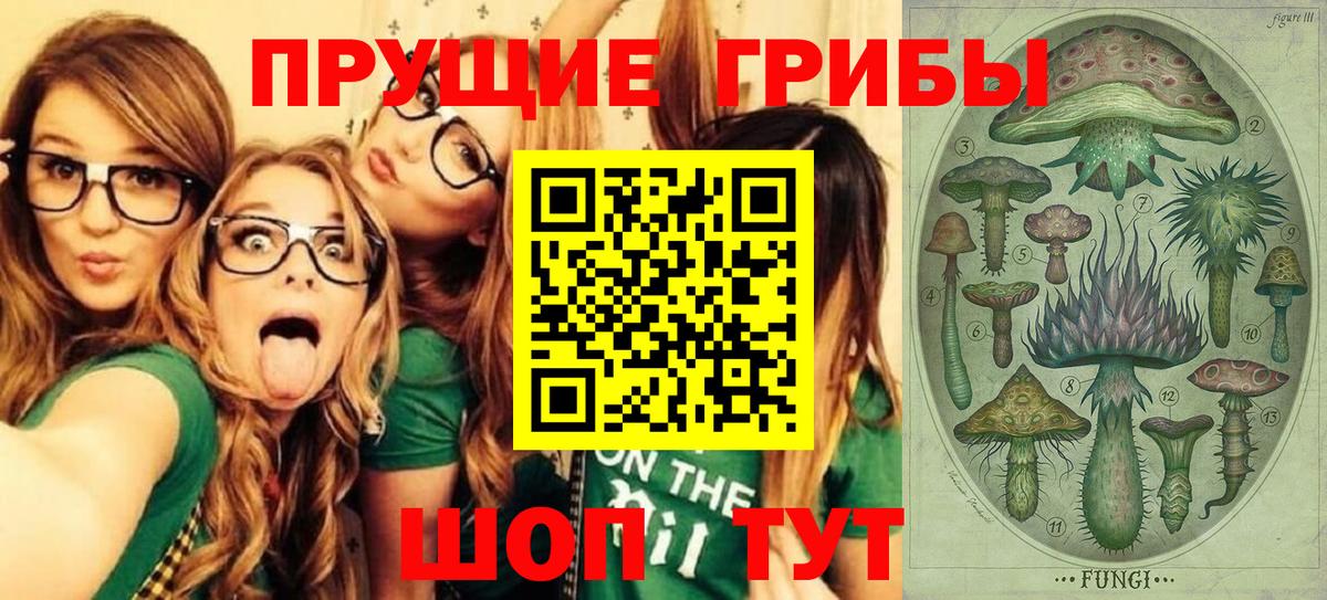Галлюциногенные грибы Psilocybe  Псилоцибиновые грибы Psilocybe  Вход с VPN  Кизилюрт 