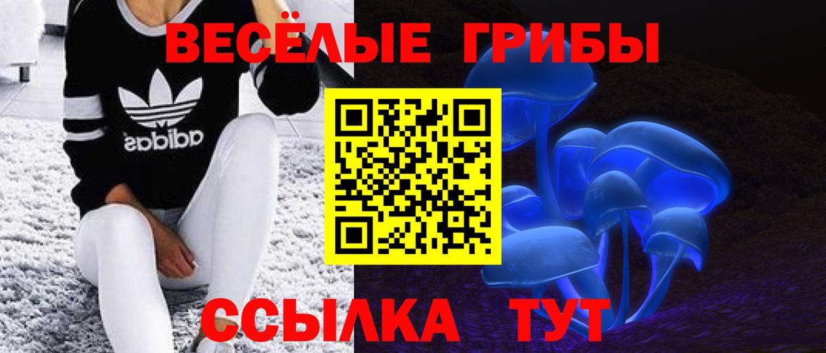 Галлюциногенные грибы прущие грибы Кизилюрт